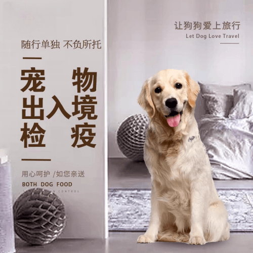 吐鲁番地区宠物托运到哥伦比亚猫狗宠物入境规定和
