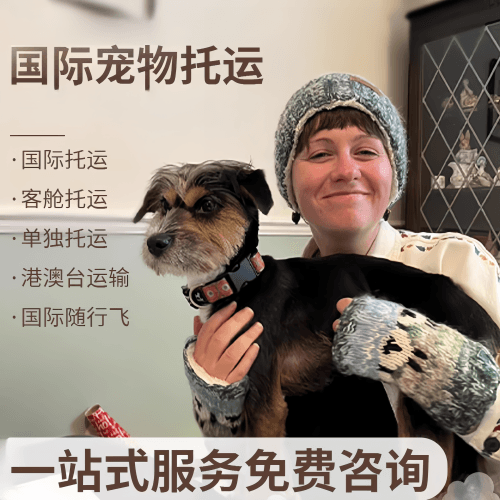吐鲁番地区国际宠物托运到阿根廷宠物入境规定和要
