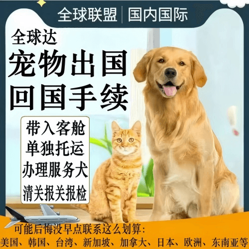 吐鲁番地区宠物托运到柬埔寨宠物入境规定和要求